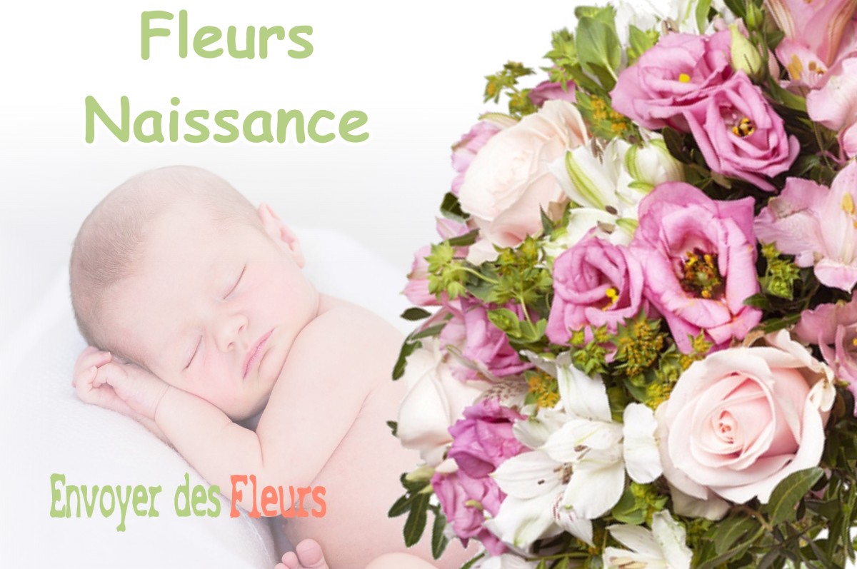 lIVRAISON FLEURS NAISSANCE à SOLEYMIEU